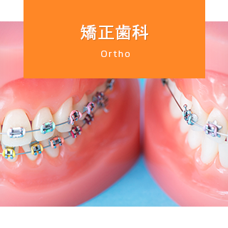 矯正歯科